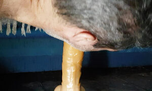 Sticking it in the ass and sucking the