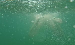 Chrissi bare swimming in Mallorca