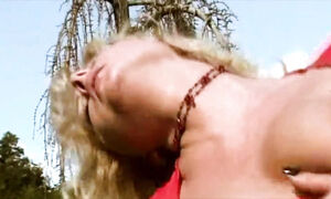 The Perverted Fantasies of a Horny Wife