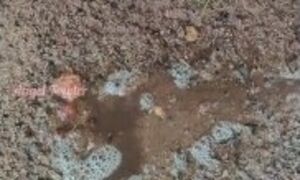 Hairy pussy pissed on Wet Sand with Pee Reverse and Urine Absorption