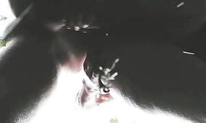 Fucking my wife in the park (part 3)