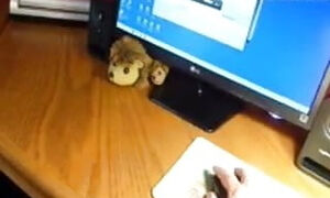 Whorish sue palmer gets off live on web cam