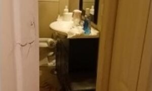 2:30 am saw roommte going into restroom so i recorded
