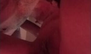 Wife sucking fucking cumming and having a great fuck session