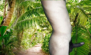 Devar Bhabhi Sex in Jungle Viral Video
